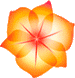 TradeNet Flower